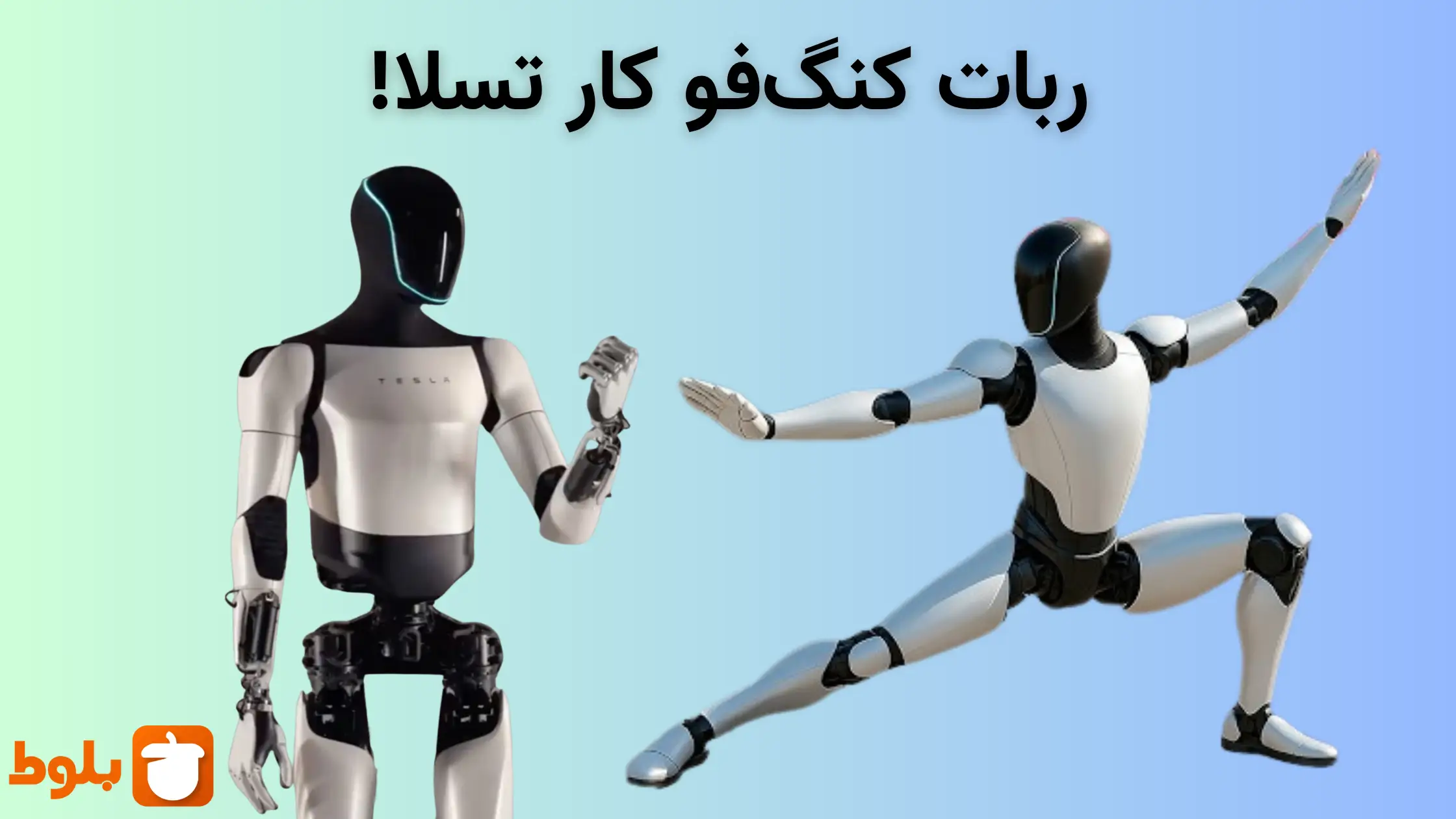 ربات انسان‌نمای تسلا کونگ‌فو یاد گرفت! ایلان ماسک دوباره اینترنت رو منفجر کرد!